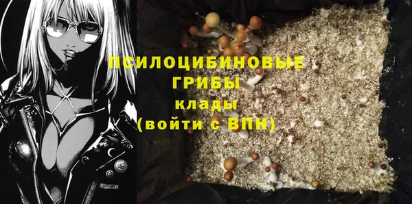 первитин Богданович