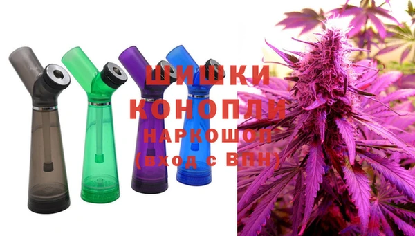 мдпв Бугульма