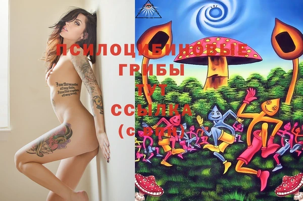СК Бородино