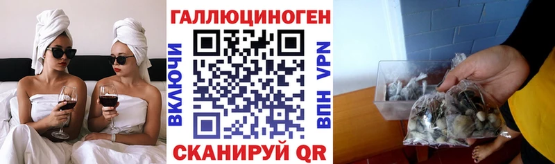 даркнет какой сайт  Межгорье  Галлюциногенные грибы Cubensis  omg зеркало 
